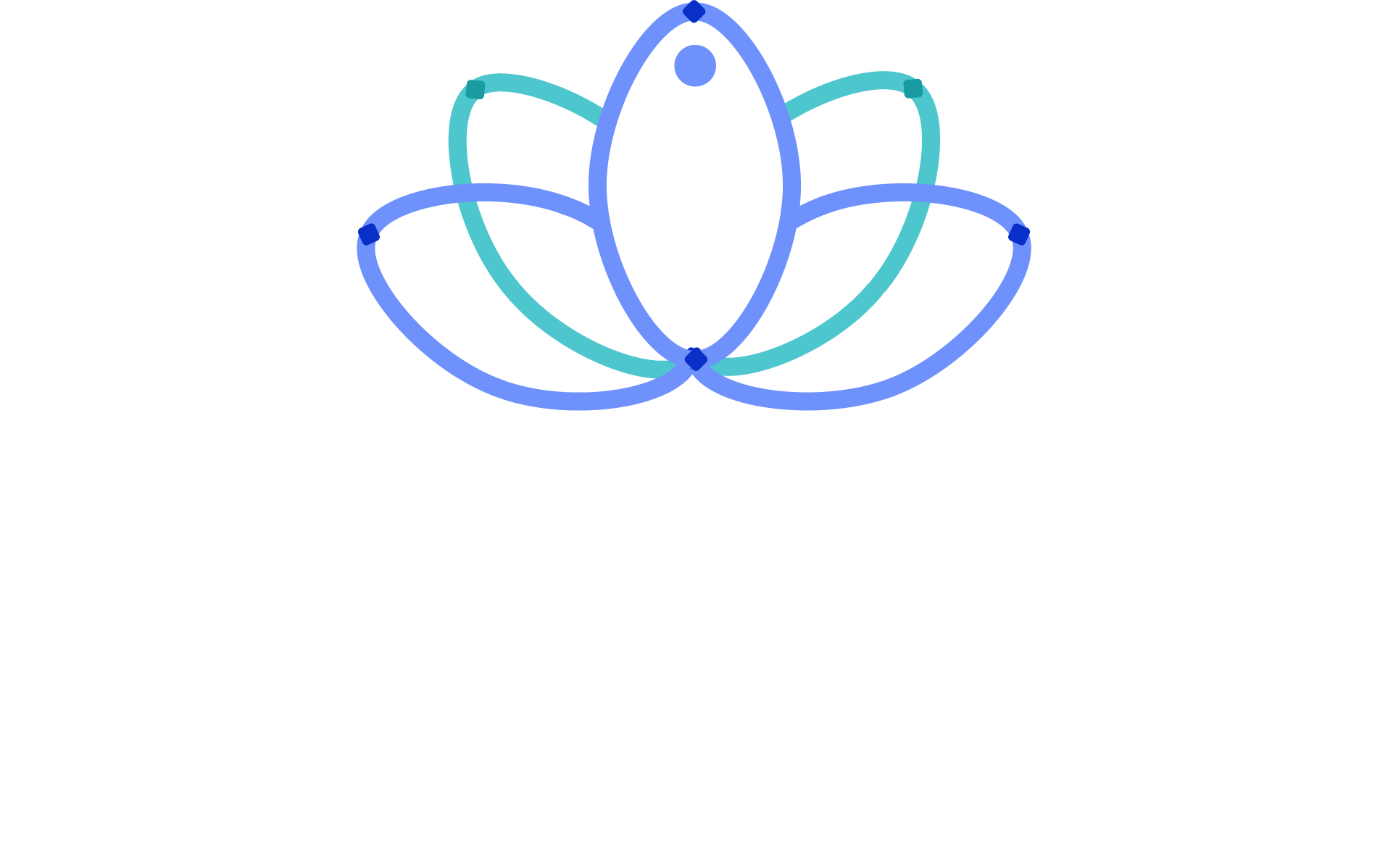 SFS Logo
